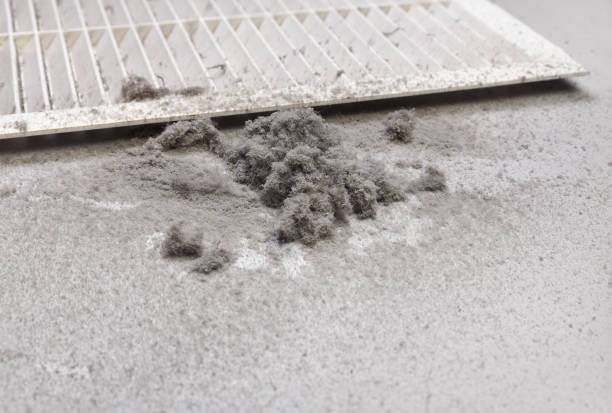 Best Professional Duct Cleaning Services  in Palm Beach, FL